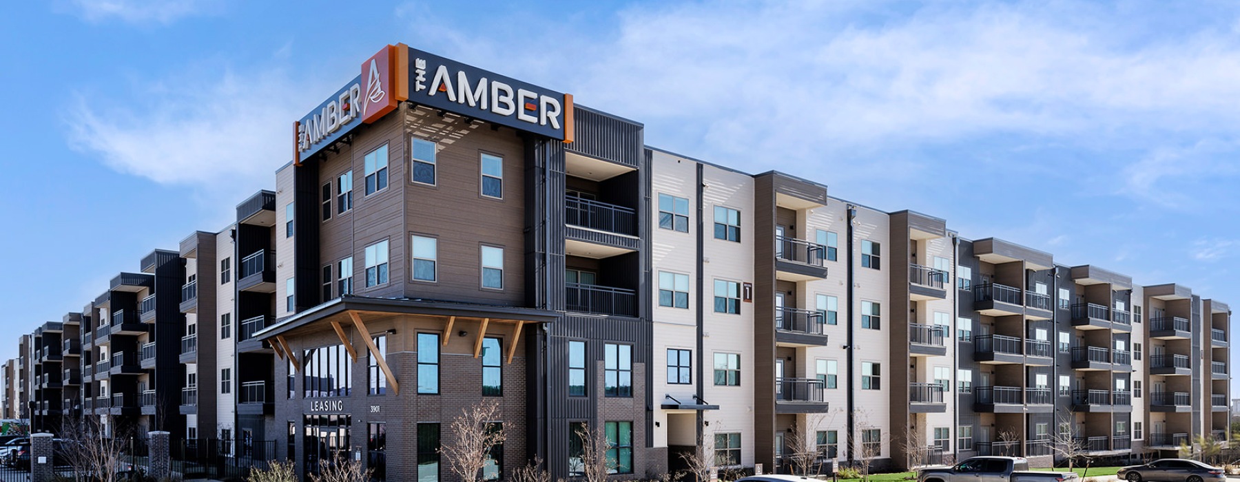 The Amber