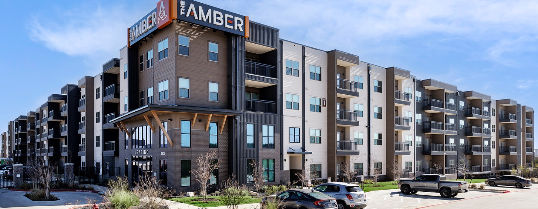 The Amber